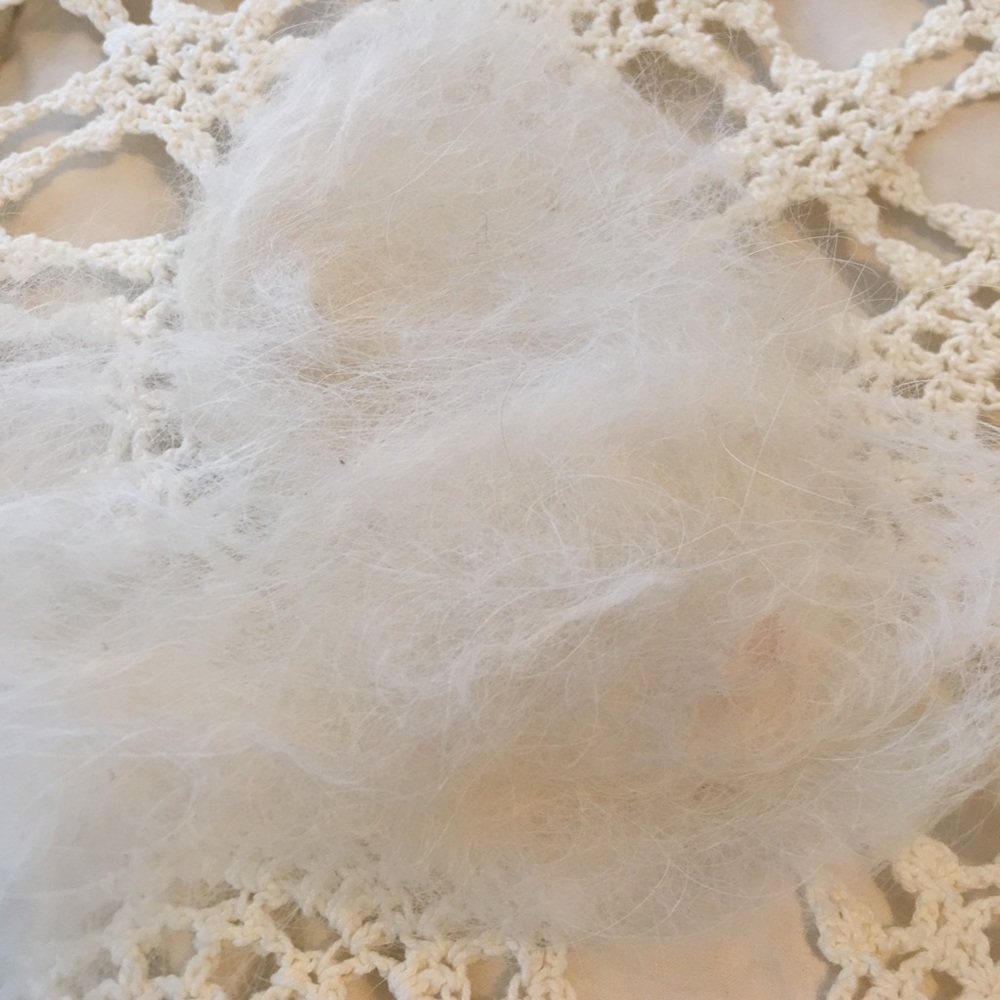 Maltese puppy fur hair